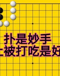 星空体育APP-白棋扑是妙手，防止被黑棋打吃，是白棋有眼杀黑棋无眼的要点